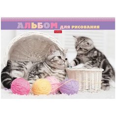 Альбом для рисования Hatber Котята и клубочки 24 листа, А4 24А4лВк-20994