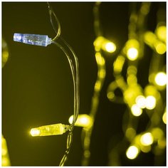 Светодиодная гирлянда ARD-EDGE-CLASSIC-2400x600-CLEAR-88LED-FLASH Gold (230V, 6W) (Ardecoled, IP65) Arlight