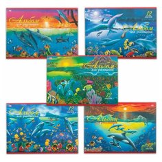 Альбом для рисования, А4, 12 листов, скоба, обложка офсет, HATBER VK, 205х290 мм, "Дельфины", 12А4C, A069936