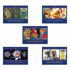 Альбом для рисования А4 40 л., скоба, обложка картон, HATBER, 205х290 мм, "Я рисую мой мир", 40А4В