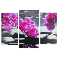 Часы настенные Сюжет модульные, "Орхидеи над камнями", 60*80 см