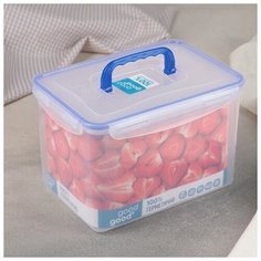 Контейнер 4,5 л 4851828 Good & Good