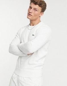 Мужской джемпер из хлопка Lacoste-Белый