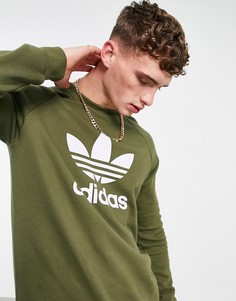 Свитшот цвета хаки с большим логотипом-трилистником adidas Originals adicolor-Зеленый цвет