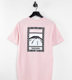 Розовая футболка The North Face Faces эксклюзивно для ASOS-Розовый цвет