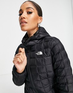 Черная парка с капюшоном The North Face Thermoball Eco-Черный цвет