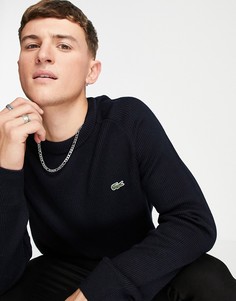 Джемпер с круглым вырезом Lacoste-Темно-синий