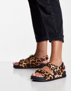 Сандалии в спортивном стиле с леопардовым принтом ASOS DESIGN Factually Sporty-Разноцветный