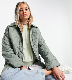 Стеганая oversized-куртка шалфейно-зеленого цвета ASOS DESIGN Tall-Зеленый цвет