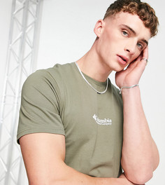 Базовая зеленая футболка с логотипом Columbia CSC – эксклюзивно для ASOS-Зеленый цвет
