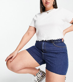 Синие выбеленные шорты в винтажном стиле с завышенной талией Dr Denim Nora Sky-Голубой