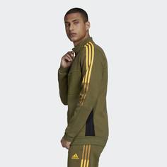 Зимняя олимпийка Tiro adidas Performance