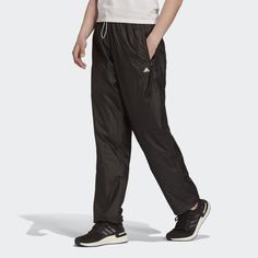Брюки adidas Sportswear WIND.RDY