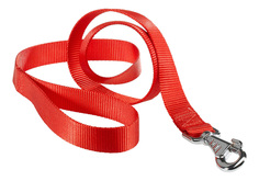 Поводок для собак ferplast Club 110см х 10мм