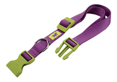 Ошейник ferplast Для собак CLUB COLOURS 75250902