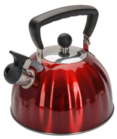 Чайник для плиты Regent 2.5 л
