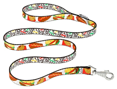 Поводок для собак Ferplast FANTASIA для кошек и мелких собак 10 мм х 120 см