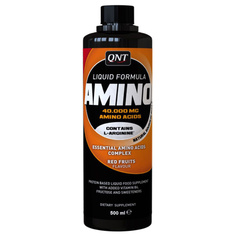 Amino Complex QNT, 500 мл, red fruits