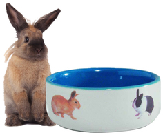 Одинарная миска для грызунов Beeztees, керамика, голубой, 0.3 л