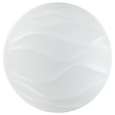 Настенно-потолочный светильник Sonex Erica 2090/DL