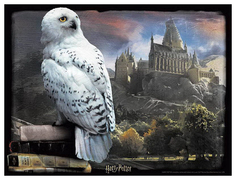 3D-пазл Prime 3D птица 500 деталей