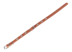 Ошейник Collar Для собак 40 см 51934СТ 32-40см*20мм