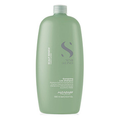 Шампунь для волос Alfaparf Milano, Semi di Lino Scalp Energizing, 1000 мл