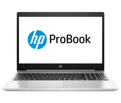 Ноутбук HP ProBook 455 G7 (104A8EA)