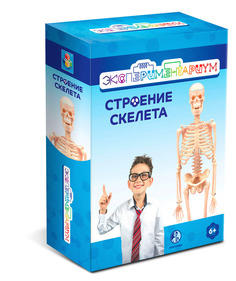 Набор 1TOY Строение скелета Экспериментариум