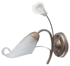 Бра MW-LIGHT 242026601 E14