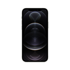 Смартфон Apple iPhone 12 Pro 256GB Graphite (MGMP3RU/A)