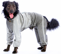 Комбинезон для собак ТУЗИК Ризеншнауцер мужской, в ассортименте, длина спины 70 см