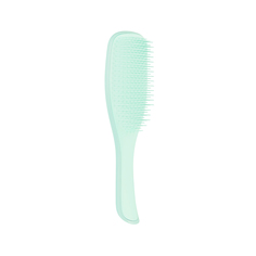 Расческа Tangle Teezer The Wet Detangler Fine & Fragile Sea Spray Green TWD-FF-ML-010319