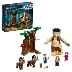 Конструктор LEGO Harry Potter 75967 Запретный лес: Грохх и Долорес Амбридж