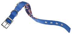 Ошейник Ferplast Daytona Fantasy C25/45 синий, нейлон