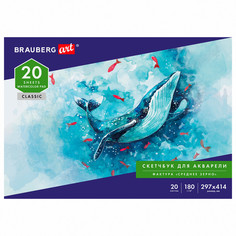 Альбом Brauberg 105930