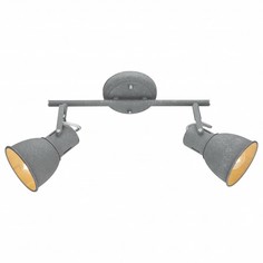 Спот Arte Lamp AR_A1677PL-2GY