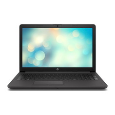 Ноутбук HP 250 G7 Gray (197P4EA)