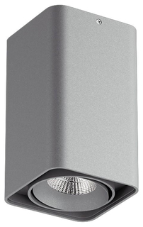 Потолочный светильник Lightstar Monocco 212539