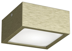 Потолочный светодиодный светильник Lightstar Zolla 213921