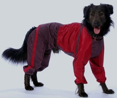 Комбинезон для собак ТУЗИК Ротвейлер мужской, в ассортименте, длина спины 65 см
