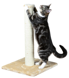 Когтеточка для кошек Trixie Parla, размер 40х40х62см,, бежевый