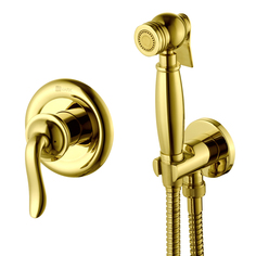 Смеситель встраиваемый Lemark Brava LM4719G с гигиеническим душем, встраиваемый