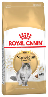 Сухой корм для кошек ROYAL CANIN Norwegian forest Adult, норвежская, домашняя птица, 0,4кг