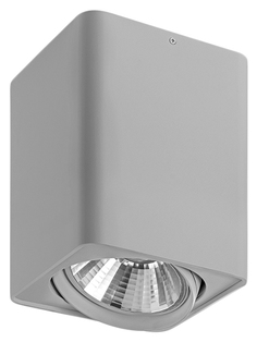 Потолочный светильник Lightstar Monocco 212639