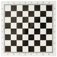 Игра настольная Рыжий кот Шахматы и шашки классические + поле 28,5х28,5 см