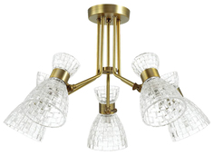 Люстра потолочная Lumion 3704/5C