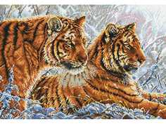 Набор для вышивания Белоснежка Амурские тигры