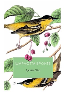 Книга Джейн Эйр Рипол Классик