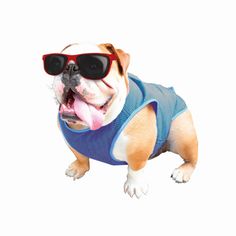 Жилет для собак Nobby Cooling-West, охлаждающий, голубой, 20 х 30 см